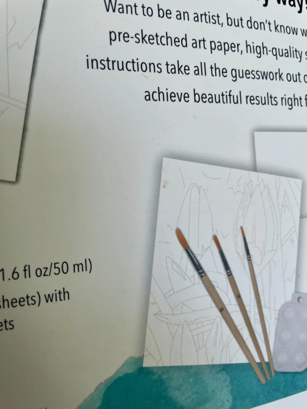 DIY Kit - The Art of Watercolor Painting - Brand New - Arts & Crafts Activity - Picture 9 of 9